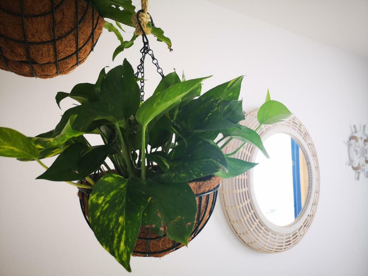 Blu Terrace Apartment Puerto del Carmen  Ngoại thất bức ảnh